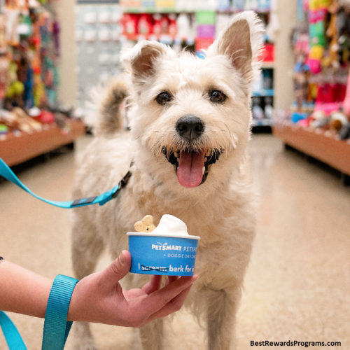 Free Doggie Sundae for Dogs for National Ice Cream Day