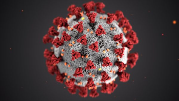 Coronavirus COVID-19 illustration by CDC
