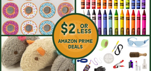 Cheap Amazon Items For $2 or Less with Free Prime Shipping