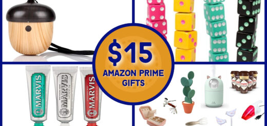 Gifts $15 and Under on Amazon Prime 2021