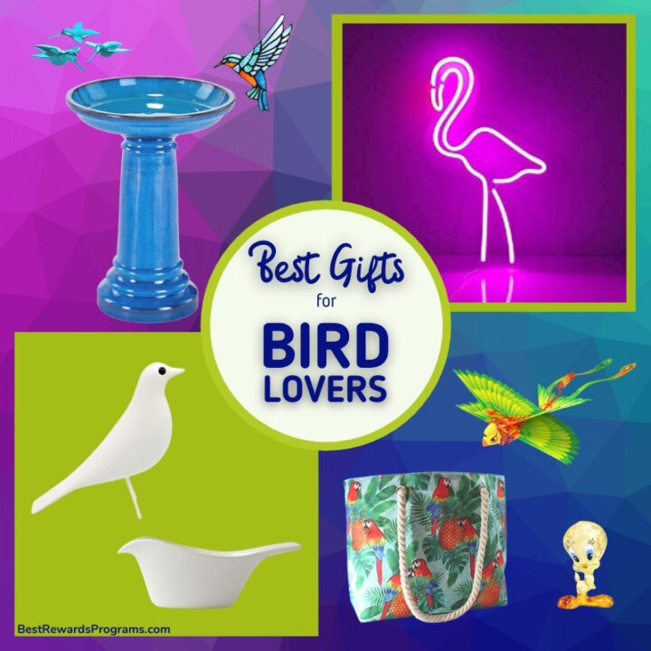 Best Gifts for Bird Lovers Best Rewards Programs