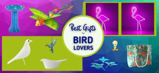 Unique Gifts Bird Lovers
