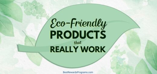 What Is Eco Friendly Products