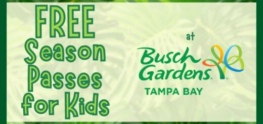 Busch Gardens Tampa Bay