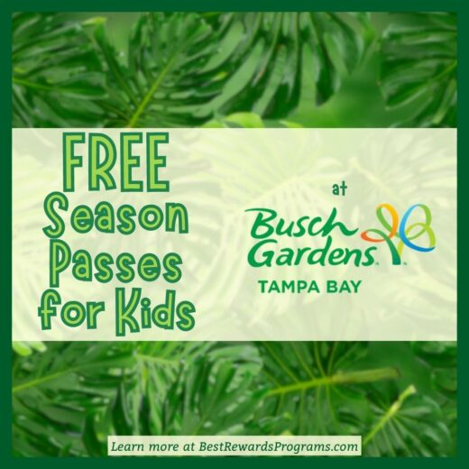Busch Gardens Tampa Bay