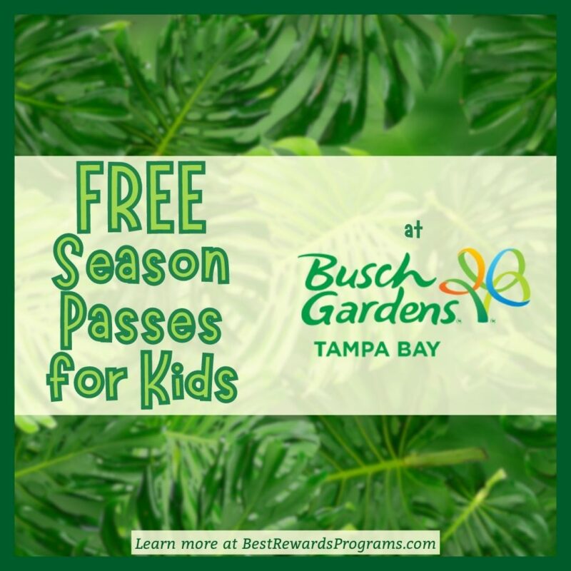 Free 2024 Season Passes for Kids at Busch Gardens Tampa Bay