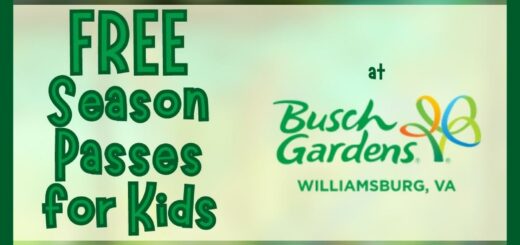 Busch Gardens Williamsburg Admission