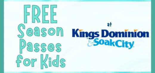 Kings Dominion Virginia Theme Park