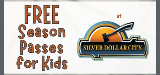 Silver Dollar City Branson MO