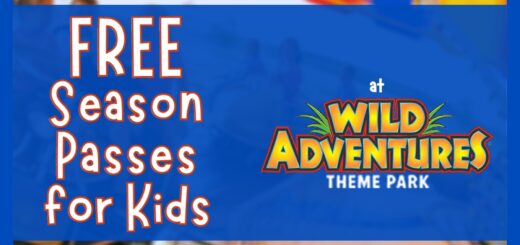 Wild Adventures Valdosta GA