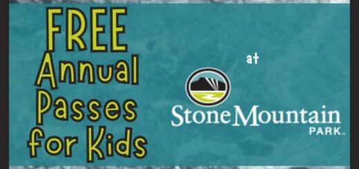 Free Pre-K Passes for Kids at Stone Mountain Park - details at bestrewardsprograms.com