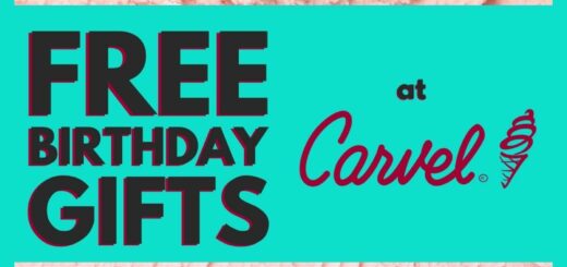 What is in Carvel Ice Cream