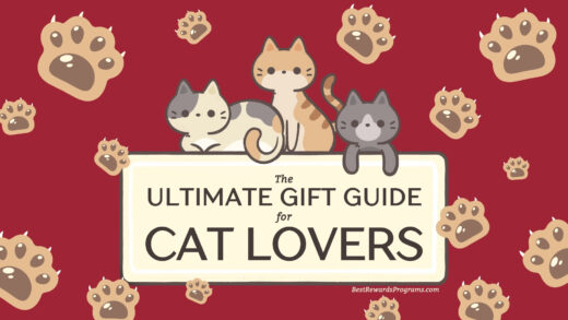 Ultimate Gift Guide for Cat Lovers