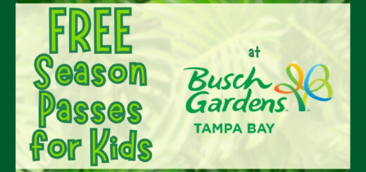 Free Season Passes for Preschool Kids at Busch Gardens Tampa Bay FL