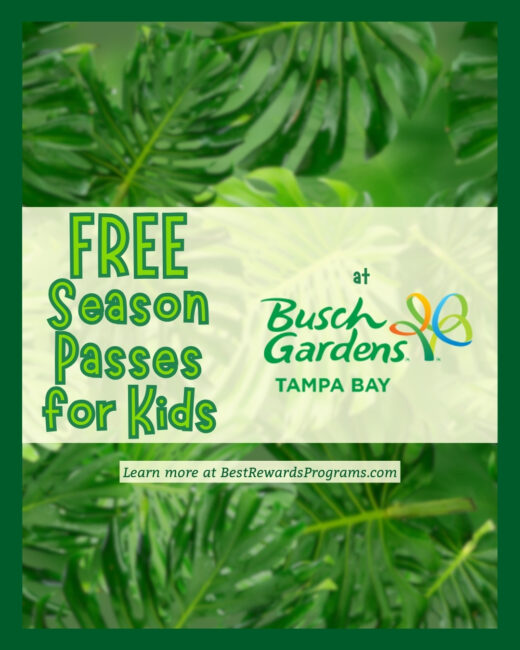 Free Season Passes for Preschool Kids at Busch Gardens Tampa Bay FL