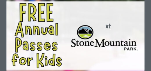 Free Season Passes for Preschool Kids at Stone Mountain Park
