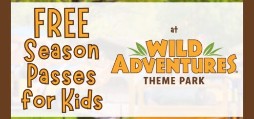 Free Season Passes for Preschool Kids at Wild Adventures