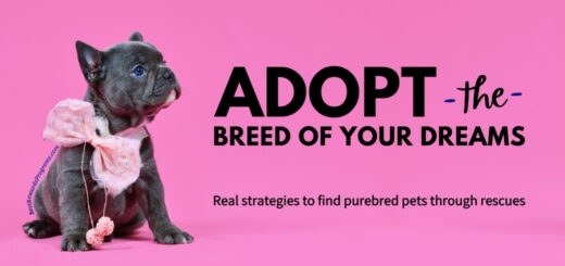 Adopt the boutique breeds of your dreams