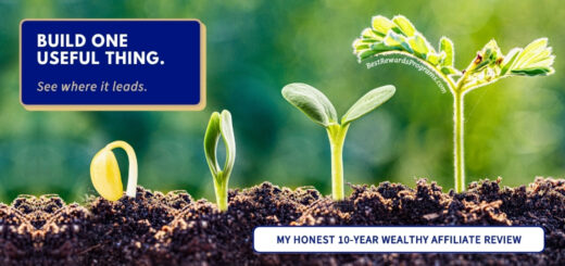 Wealthy Affiliate Review: Growing Website Ideas