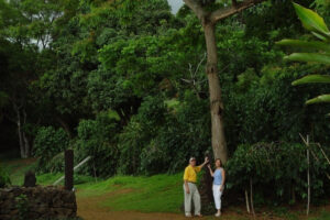 Visiting the Kona Coffee Farm in Hawaii in July 2003